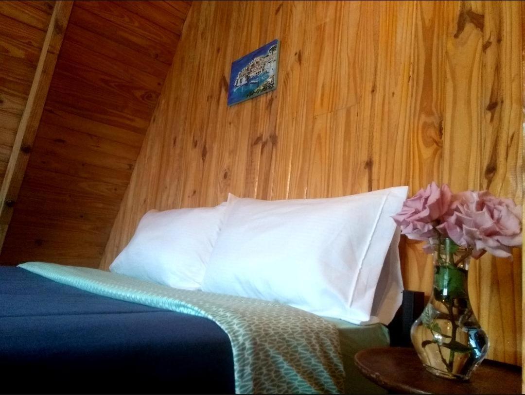 إل كالافاتي Trastienda Guest House المظهر الخارجي الصورة